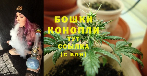 молекула духа Осинники