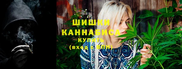 молекула духа Осинники